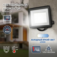 Прожектор светодиодный уличный Эра LPR-024-100 100 Вт 6500К IP65 нейтральный белый свет