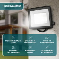 Прожектор светодиодный уличный Эра LPR-024-100 100 Вт 6500К IP65 нейтральный белый свет