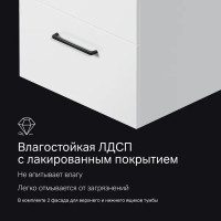 Комплект фасадов для тумбы AM.PM Force M9FFFF0602WM 33x57 см влагостойкая ЛДСП цвет белый 2 шт