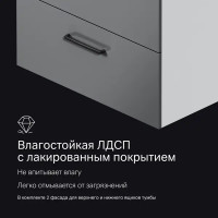 Комплект фасадов для тумбы AM.PM Force M9FFFF0802GM 33x76.5 см влагостойкая ЛДСП цвет серый 2 шт