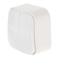 Выключатель двухклавишный - Legrand Quteo - IP20 10А 250В винтовые зажимы накладной монтаж - слоновая кость