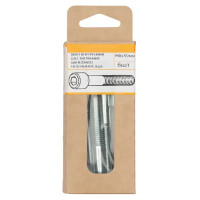 Винт DIN 912 8x50 мм оцинкованный 6 шт.