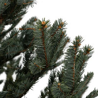 Ель натуральная новогодняя Голубая 150-175 см