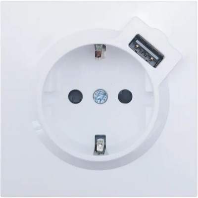 Розетка USB встраиваемая Lezard Zima с заземлением цвет белый