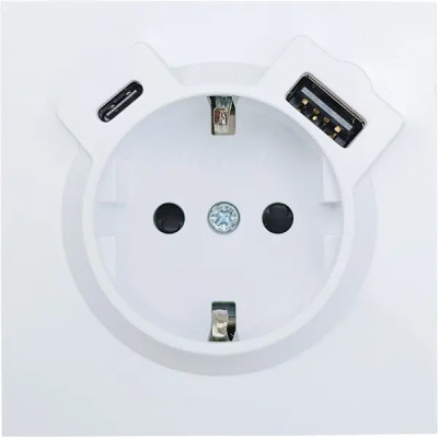 Розетка TC и USB встраиваемая Lezard Zima с заземлением цвет белый