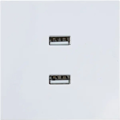Розетка двойная USB встраиваемая Lezard Zima без заземления цвет белый