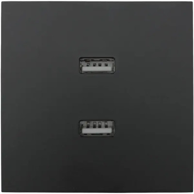 Розетка двойная USB встраиваемая Lezard Zima без заземления цвет черный бархат