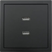 Розетка двойная USB встраиваемая Lezard Zima без заземления цвет черный бархат