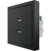 Розетка двойная USB встраиваемая Lezard Zima без заземления цвет черный бархат