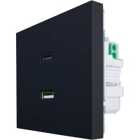 Розетка TC и USB встраиваемая Lezard Zima без заземления цвет черный бархат