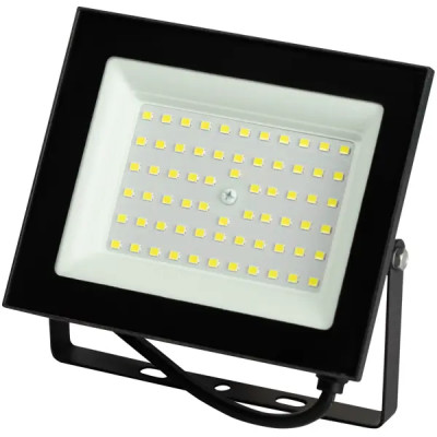 Прожектор светодиодный уличный ЭРА LPR-026-0-65K-070 70Вт 6500К 5600лм IP65