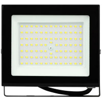 Прожектор светодиодный уличный ЭРА LPR-026-0-65K-100 100Вт 6500К 8000лм IP65