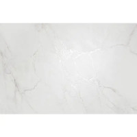 Глазурованный керамогранит Arcadia Ceramica Carving 60x120 см 1.44 м² матовый цвет белый