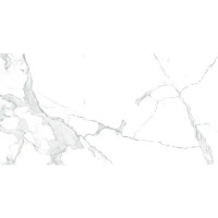 Глазурованный керамогранит Arcadia Ceramica Paradise Statuario Carving 60x120 см 1.44 м² матовый цвет белый