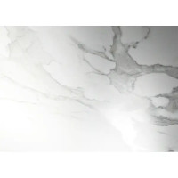 Глазурованный керамогранит Arcadia Ceramica Paradise Statuario Carving 60x120 см 1.44 м² матовый цвет белый