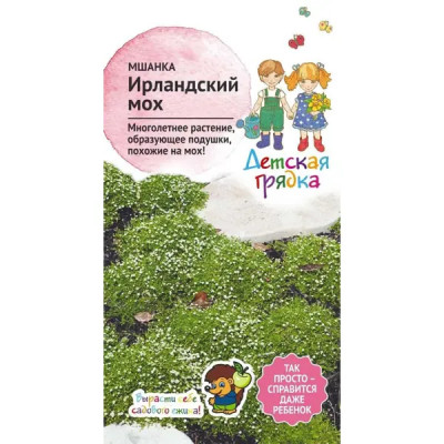 Семена Мшанка «Ирландский мох»