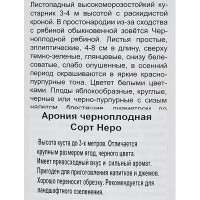 Арония черноплодная Неро h40 см