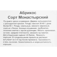 Абрикос Монастырский коробка h80 см