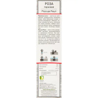 Роза парковая «Роуз де Решт»