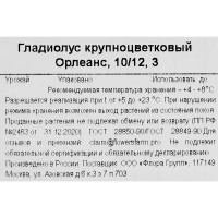 Гладиолус крупноцветковый Орлеанс