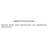 Нарцисс Тет-а -тет ø12 h25 см, 5 шт.