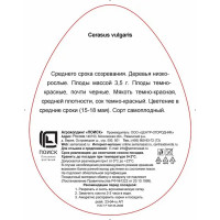 Вишня Шоколадница h220 см