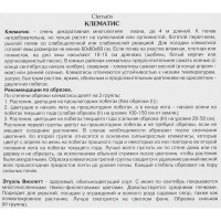 Клематис крупноцветковый Этуаль Виолетт h200 см