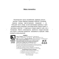 Яблоня Июльское Черненко сетка h180 см