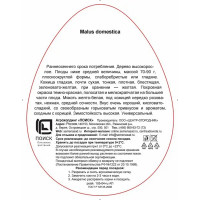 Яблоня Коричное полосатое Поиск