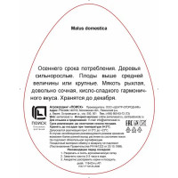 Яблоня Осеннее полосатое в тубе Поиск Инвест