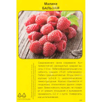 Малина Бальзам h40 см