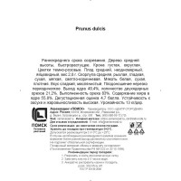 Миндаль Десертный h200 см в сетке Поиск Инвест