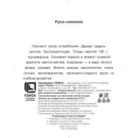 Груша обыкновенная Просто Мария h200 см в сетке Поиск Инвест