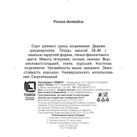 Слива Заречная ранняя h200 см в сетке Поиск Инвест