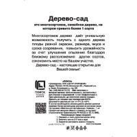 Груша Дерево сад Чижовская/Лада/Детская h180 см
