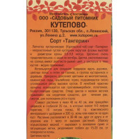 Лапчатка оранжевая Tangerin, в коробке