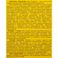 Земляника Зенга Зенгана 9x30 см 3 шт.