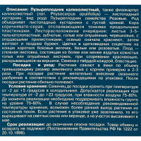 Пузыреплодник Видовая ø12 h29 см