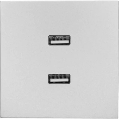 Розетка двойная USB встраиваемая Lezard Zima без заземления цвет серый матовый