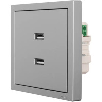 Розетка двойная USB встраиваемая Lezard Zima без заземления цвет серый матовый