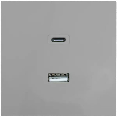 Розетка TC и USB встраиваемая Lezard Zima без заземления цвет серый матовый