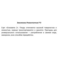 Земляника ремонтантная микс h15 см
