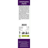 Смородина черная традиционная Ядреная коробка h39 см