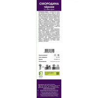 Смородина черная традиционная Селеченская коробка h39 см