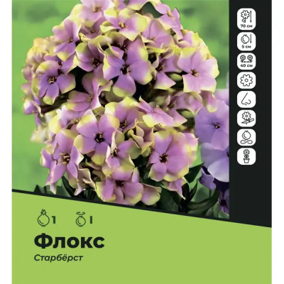 Флокс Старберст луковицы I