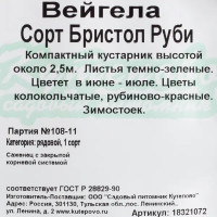 Вейгела С2, 30 см