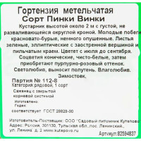 Гортензия метельчатая «Пинки Винки» 15x20 см