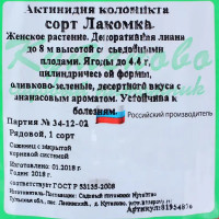 Актинидия коломикта С2 «Лакомка» h15