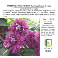 Клематис ботанический Пурпуреа Плена Элеганс контейнер 2 л