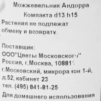 Можжевельник «Андорра Компакта» 1 л h15 см